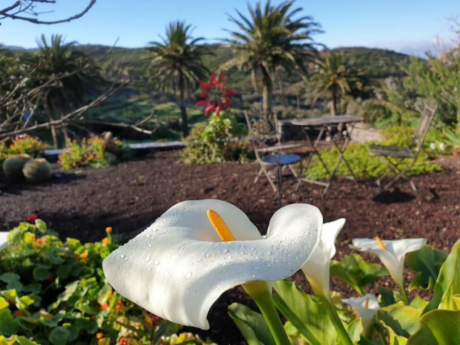 Casa Tara Ruhe Und Entspannung, Natur Pur Acardece Exterior foto